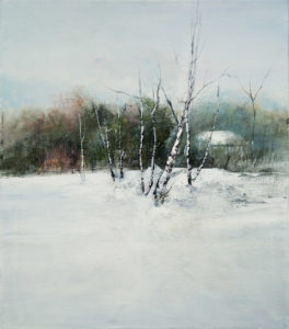 mostra-daniela-borsoi-palazzo-sarcinelli-conegliano